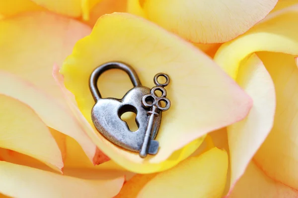 作为背景的挂锁 爱情与玫瑰花瓣 — 图库照片