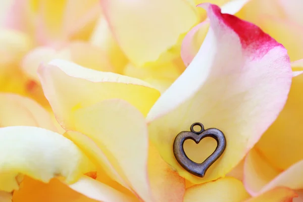 stock image Rose with silver heart