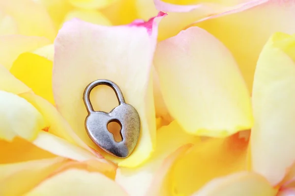 stock image rose petals as a background with padlock - love