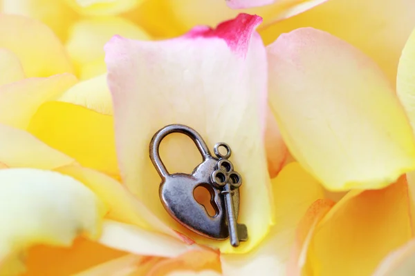 Rose Petals Background Padlock Love — Stock Fotó