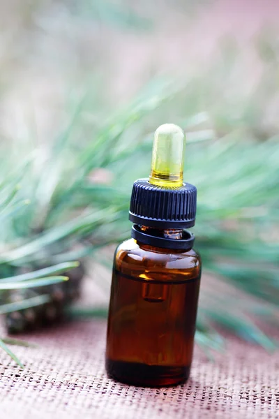 Bottle Fir Tree Essential Oil Beauty Treatment — Stock Photo, Image