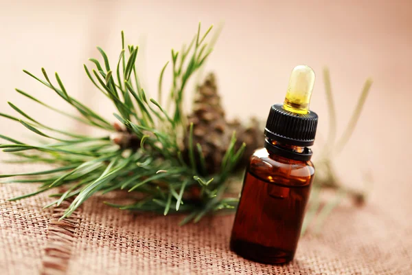 stock image bottle of fir tree essential oil - beauty treatment