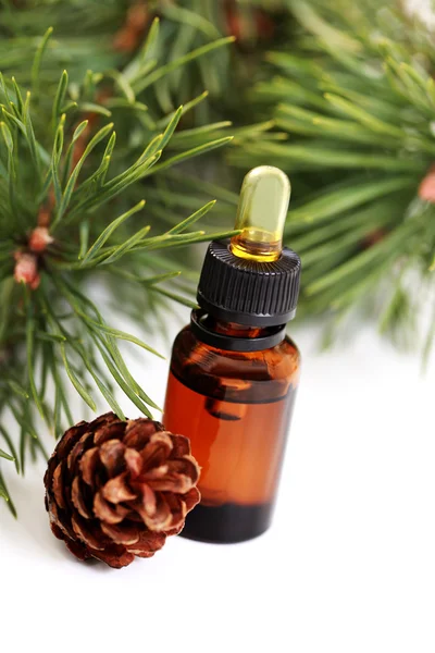 Fir tree essential oil — Stock Photo, Image