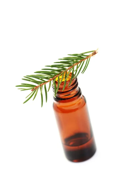 Bottle Fir Tree Essential Oil White Beauty Treatment — Stock Photo, Image