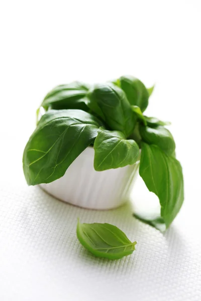 Bowl Fresh Basil Herbs Spices — Stock Photo, Image