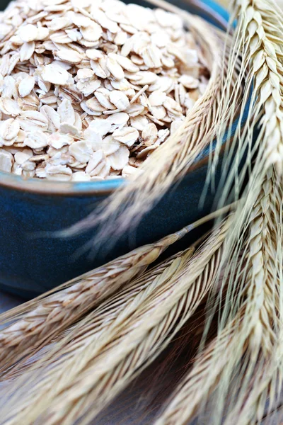 碗的燕麦 — 图库照片