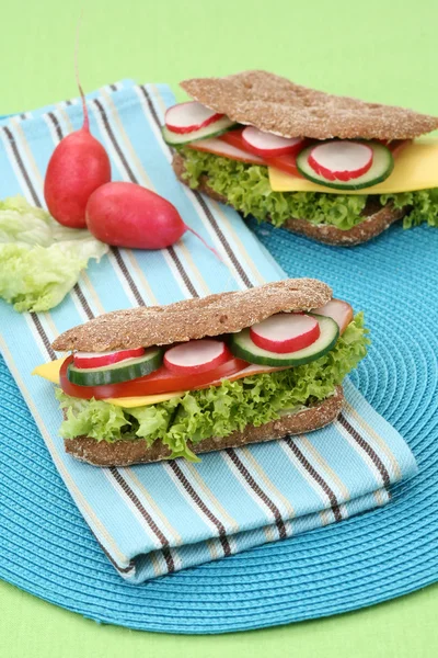 Close Ups Duas Deliciosas Sanduíches — Fotografia de Stock