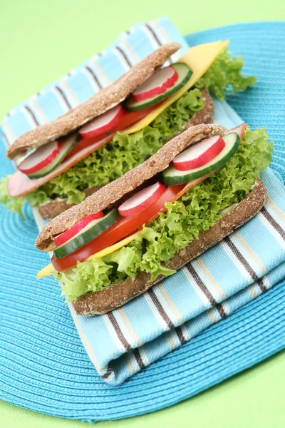 Close Ups Two Delicious Sandwiches — Stock Photo, Image
