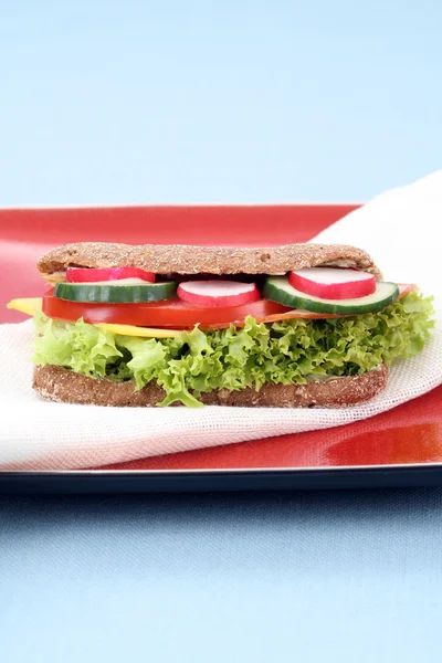 Nahaufnahmen Von Frischen Und Leckeren Sandwiches — Stockfoto
