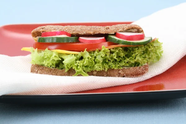 Närbilder Färska Och Läckra Sandwich — Stockfoto
