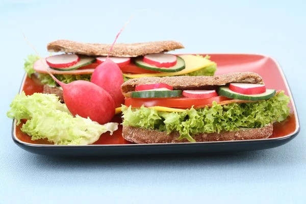 Gros Plan Deux Délicieux Sandwichs — Photo