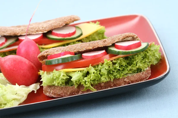Nahaufnahmen Von Zwei Leckeren Sandwiches — Stockfoto