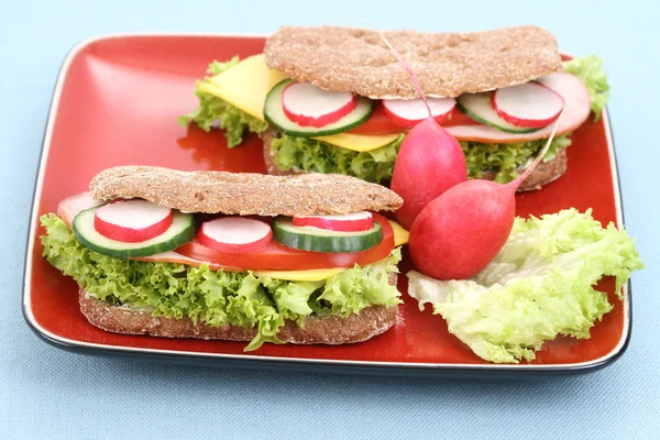 Крупним Планом Свіжий Смачний Бутерброд — стокове фото