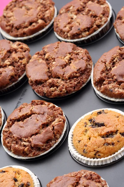 Deliciosos Muffins Chocolate Alimentos Bebidas — Fotografia de Stock