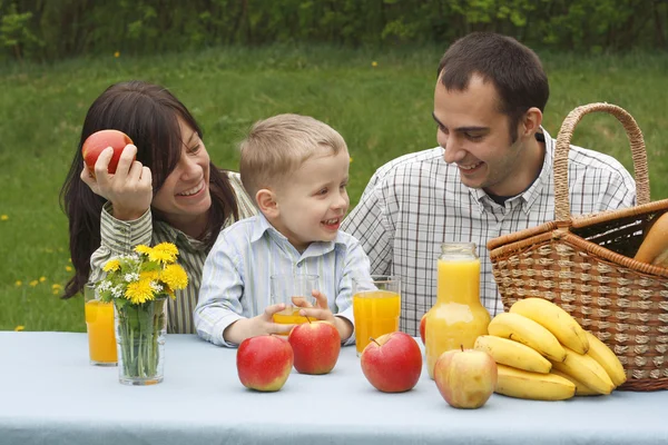 Glückliche Familie Und Picknick Freien — Stockfoto