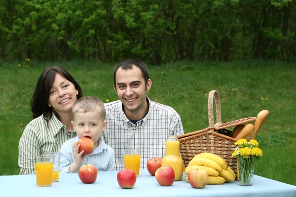 Szczęśliwą Rodzinę Odkryty Piknik — Zdjęcie stockowe