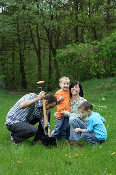 Ojciec Matka Synowie Sadzenie Drzew Współpraca — Zdjęcie stockowe