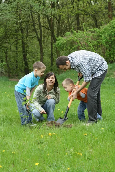 Padre Madre Hijos Plantando Árbol Trabajando Juntos — Foto de Stock
