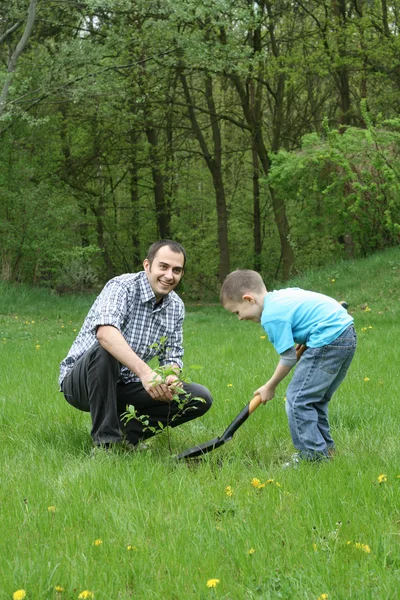 Pai Filho Plantando Uma Árvore Trabalhando Juntos — Fotografia de Stock