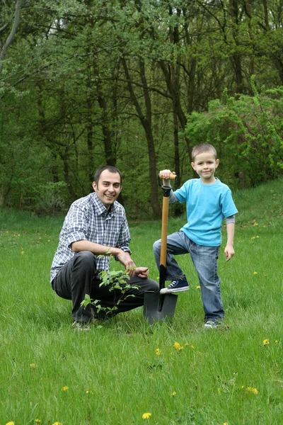 Planting a tree — Stock Photo, Image
