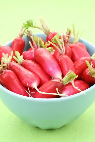 Fresh Delicious Radish Seasonal Vegetable — Stock Photo, Image