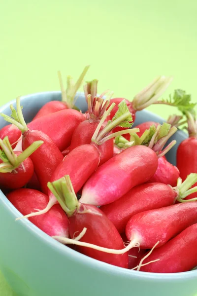 Ředkvičky Čerstvé Chutné Sezónní Zelenina — Stock fotografie
