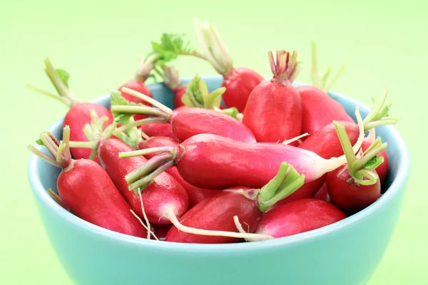 Fresh Delicious Radish Seasonal Vegetable — Stock Photo, Image