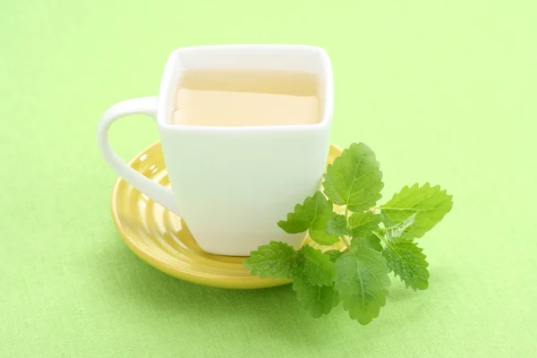 ミントのお茶や新鮮な葉の — ストック写真