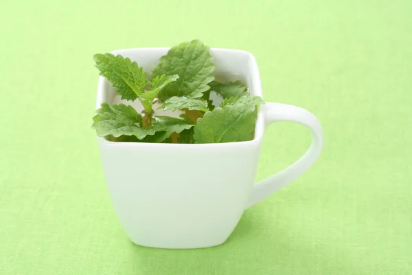 ミントのお茶や新鮮な葉の — ストック写真