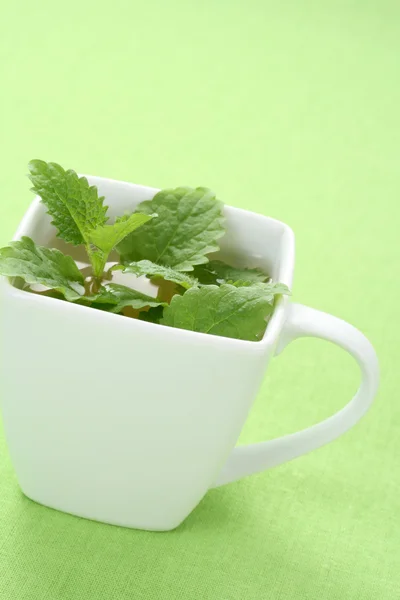 Cup Mint Tea Fresh Leaves — Stock Photo, Image