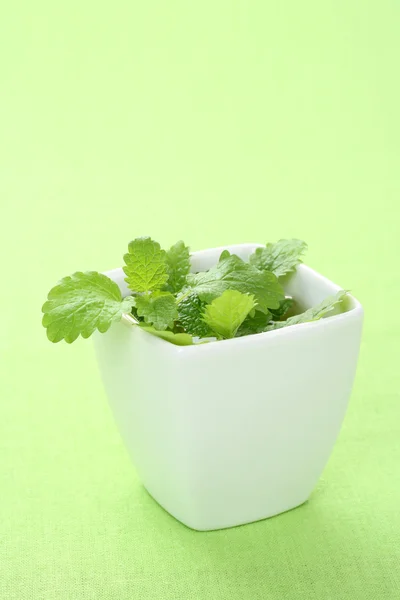 Cup Mint Tea Fresh Leaves — Stock Photo, Image