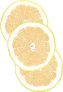 Grapefruit clipart