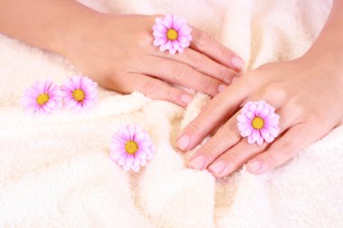 beautiful hands with pink flower - beauty treatment clipart