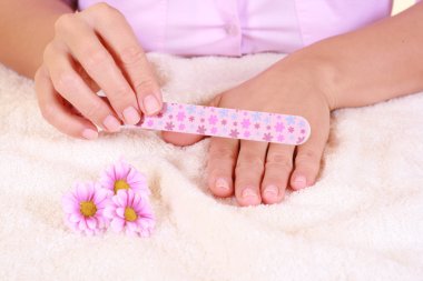 beautiful hands with daisy flowers - hands care clipart