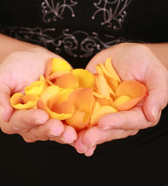 黄色の花びらの完全手を繋いでいる女性のクローズ アップ — ストック写真