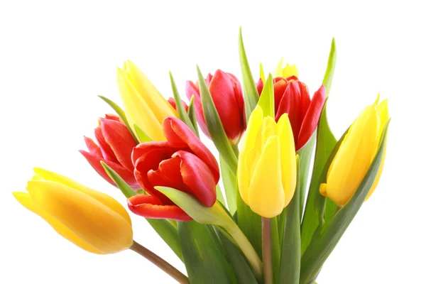 Ramo Adorables Tulipanes Rojos Amarillos Aislados Blanco —  Fotos de Stock