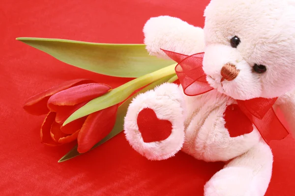 Pequeno Urso Pelúcia Doce Com Tulipa Vermelha Pequeno Presente — Fotografia de Stock
