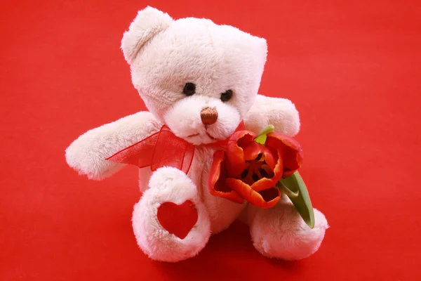 Маленький Солодкий Плюшевий Ведмедик Червоним Тюльпаном Маленький Подарунок — стокове фото