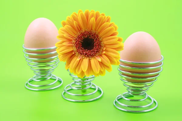 Twee Eieren Gele Gerbera Groene Achtergrond — Stockfoto