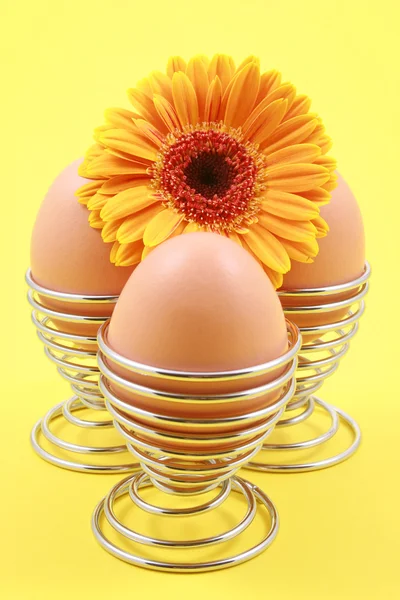 Drie Eieren Gele Gerbera Gele Achtergrond — Stockfoto