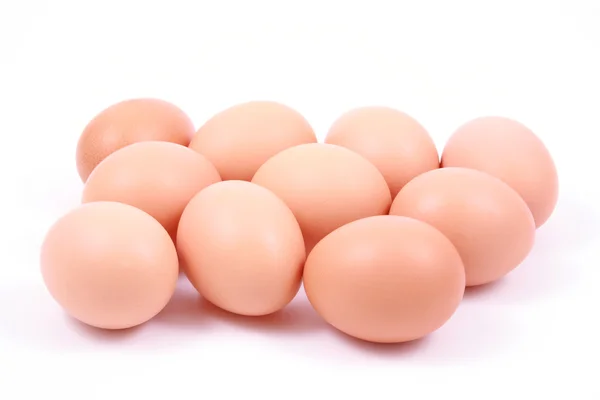 stock image Eggs