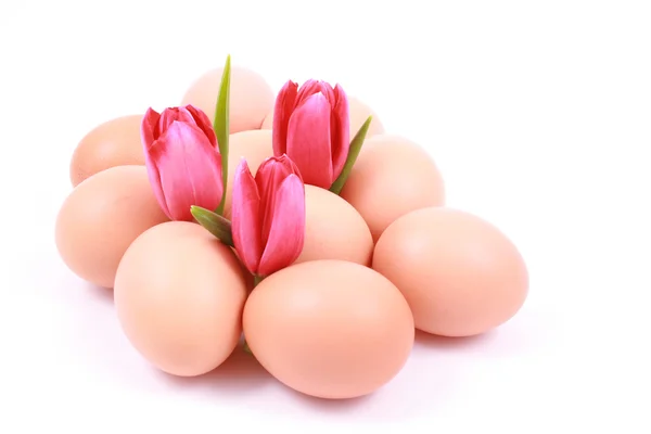 Πολλά Αυγά Και Ροζ Τουλίπες Που Απομονώνονται Λευκό — Φωτογραφία Αρχείου