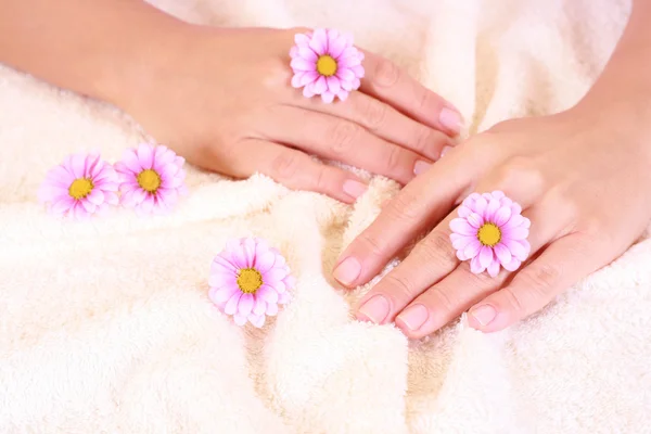 Красиві Руки Рожевою Квіткою Лікування Краси — стокове фото