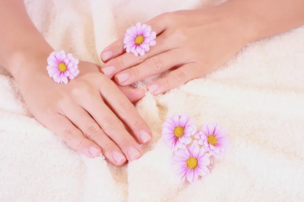 Piękne Ręce Kwiaty Daisy Pielegnacja Dłoni — Zdjęcie stockowe