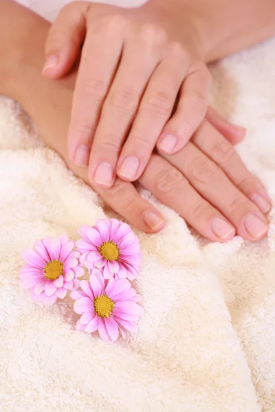 Красиві Руки Рожевою Квіткою Лікування Краси — стокове фото