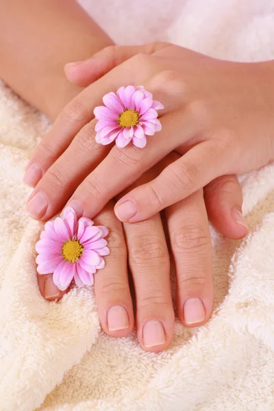 Tangan Yang Indah Dengan Bunga Merah Muda Perawatan Kecantikan — Stok Foto