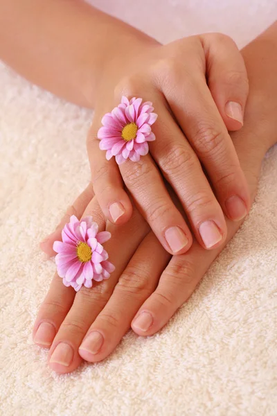 Pflege Der Hände Schönheitsbehandlung — Stockfoto