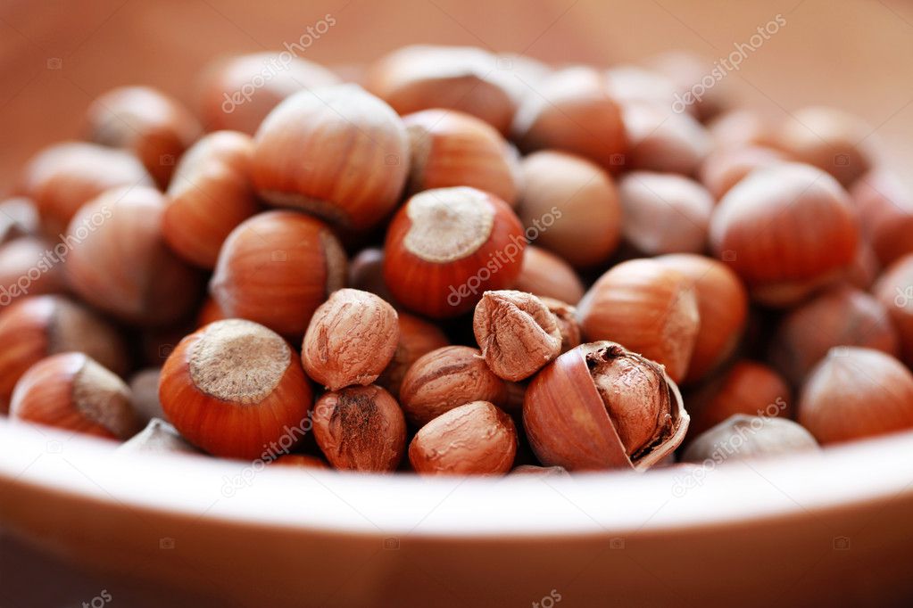 matka_Wariatka