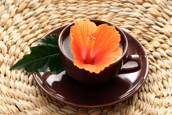 Hibiškový čaj — Stock fotografie
