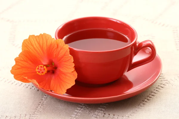 Τσάι του ιβίσκου — Φωτογραφία Αρχείου